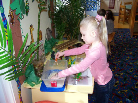 Work Camera Pictures 082