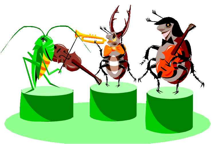 bugs