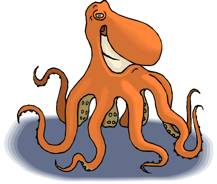 octopus